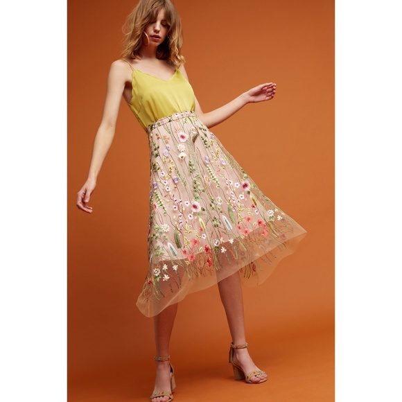 Eva Franco Dresses & Skirts - Anthropologie  Embroidered Mesh Blush Floral Midi Skirt by Eva Franco